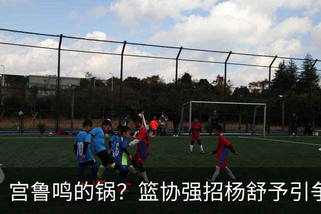 宫鲁鸣的锅？篮协强招杨舒予引争议：以后谁还敢签中国球员？