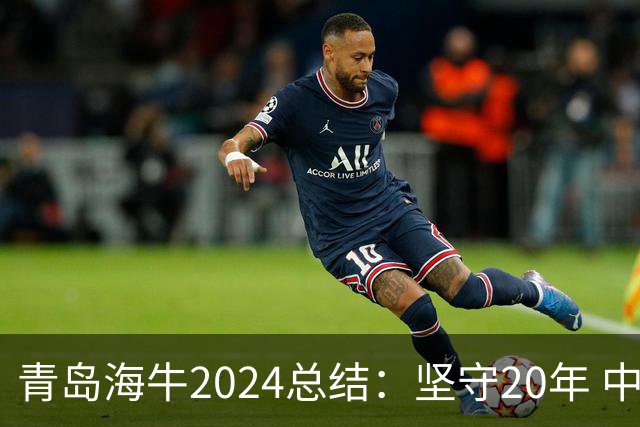青岛海牛2024总结：坚守20年 中能的拼争与困境